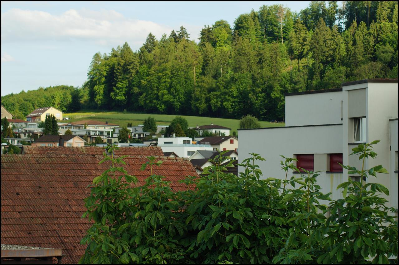 Gasthof Kastanienbaum Hotel Hunzenschwil Eksteriør billede